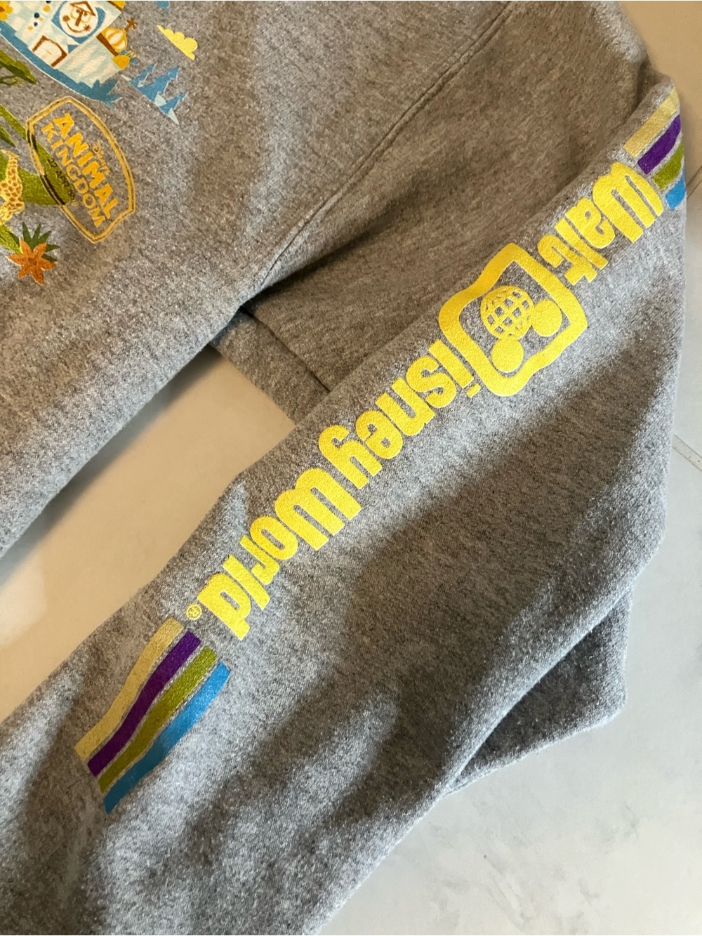 Disney Walt disney world grey Sweatshirt with Colorful Park Montage - Picture 4 of 8